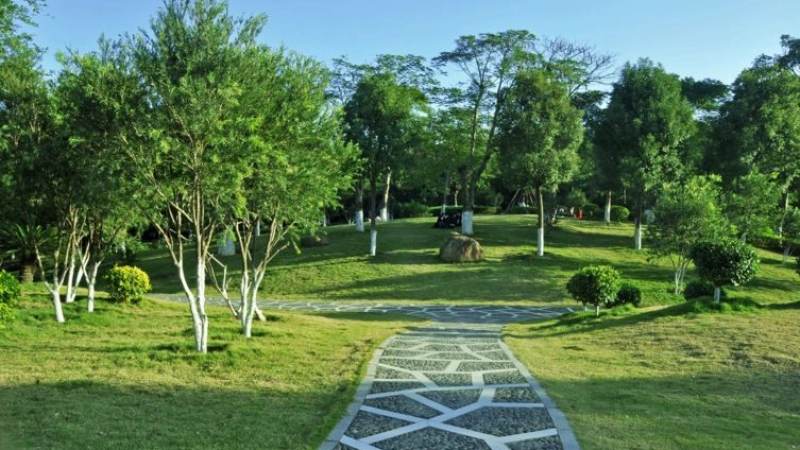 2026lol全球总决赛发展历程配图
